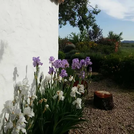 Willa Beautiful Cortijo With Pool Near *