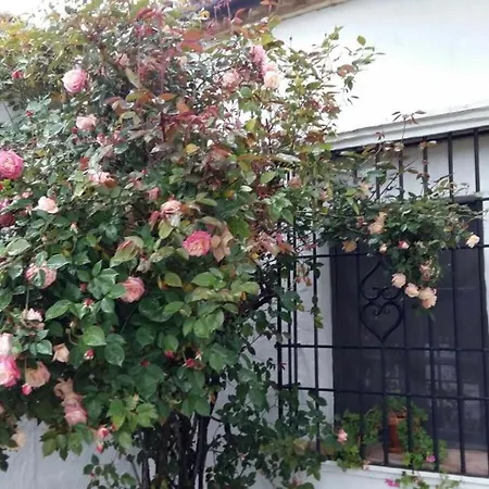 Villa Beautiful Cortijo With Pool Near