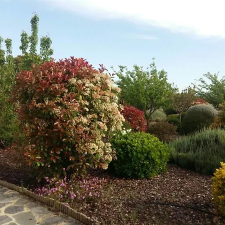 Beautiful Cortijo With Pool Near Vila Ronda