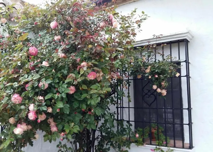 Вілла Beautiful Cortijo With Pool Near