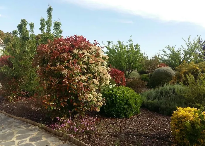Beautiful Cortijo With Pool Near Вілла Ронда